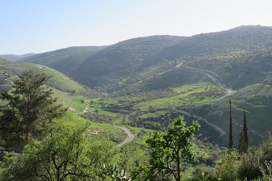 Tour image 4