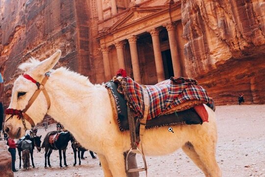 Tour image 10
