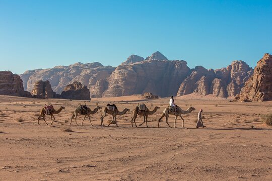 Tour image 5